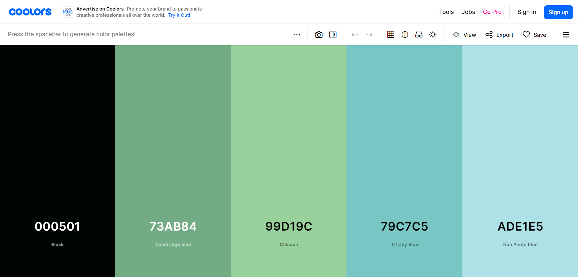 coolors-website